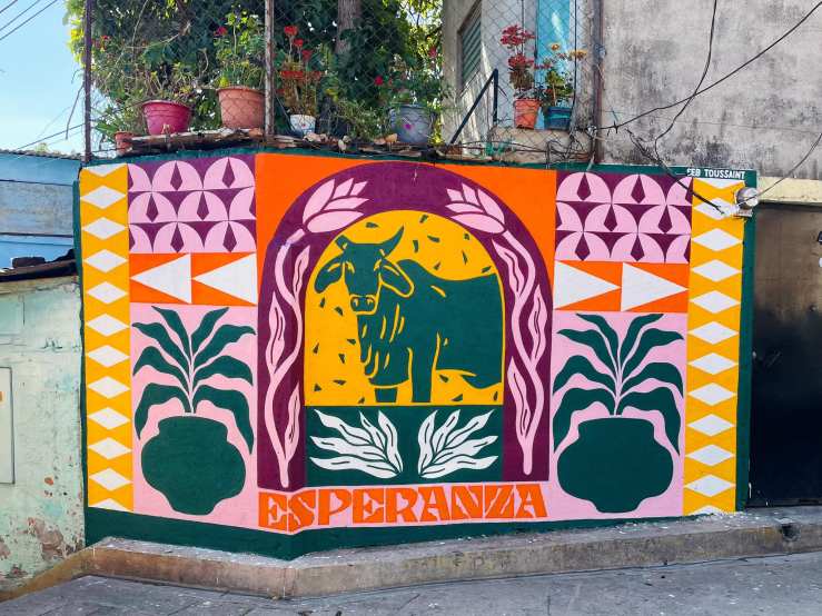 las_palmas_2024-6-esperanza